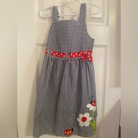 Emily Rose Gingham Ladybug Dress - Picture 1 of 6